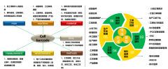 巢能源任沉而道远
